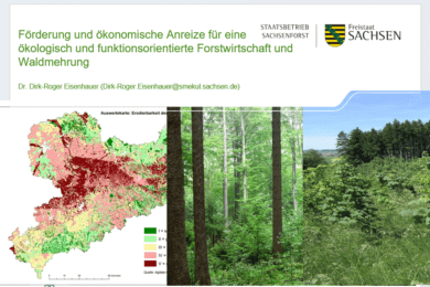 Ambitioned plans on forest resource developments  – but financing remains uncertain