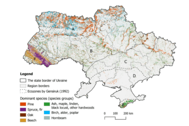 Nationwide remote sensing framework for forest resource assessment in war-affected Ukraine